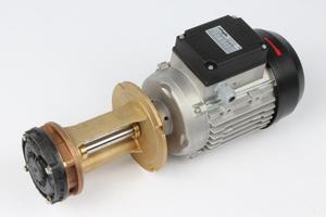 immersion pump